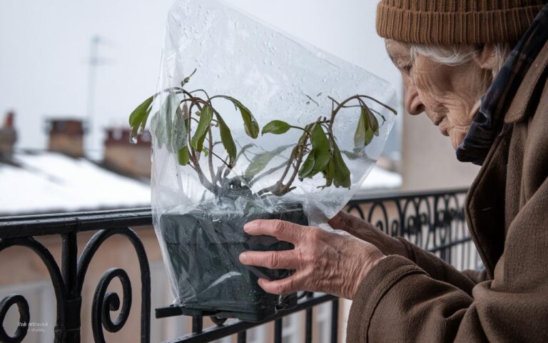 Dieser Winterschutz, den wir alle für unsere Außenpflanzen verwenden, richtet mehr Schaden an als der Frost selbst.